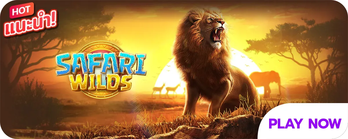 richheng888 safariwilds